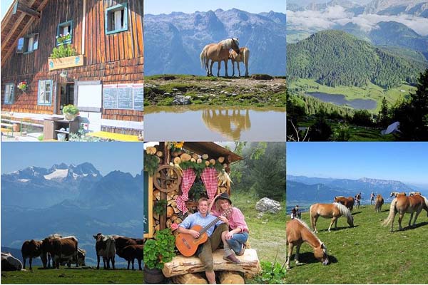 Ausflugsgasthaus Enzianhütte am Trattberg