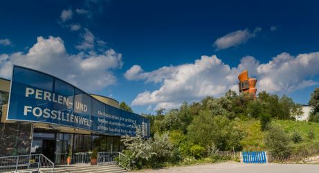 Fossilienwelt Weinviertel - entdecke das Urmeer!