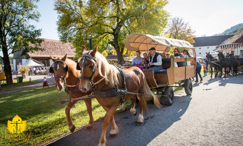 Stadt Land Familienfest im Naturparkzentrum Grottenhof, Südsteiermark