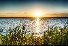Schiff- & Kutschenfahrt am Neusiedlersee