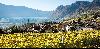 Südtirol - Ferienvergnügen auf 2 Rädern