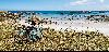 Radreise Highlight - Normandie und Bretagne
