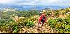 Wandern auf der Insel Elba