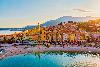Zitronenfest Menton & Blumenkorso Nizza