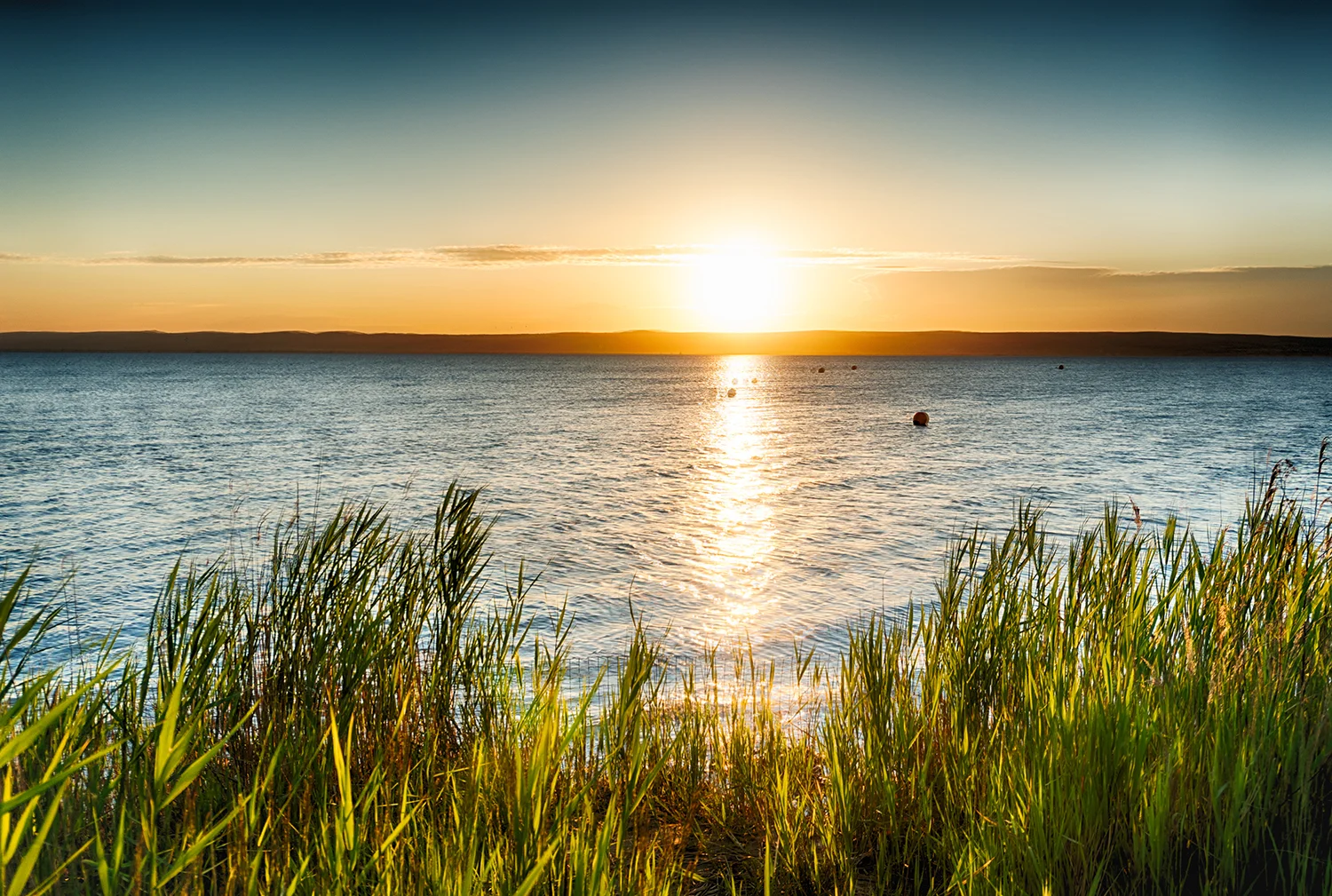 Schiff- & Kutschenfahrt am Neusiedlersee