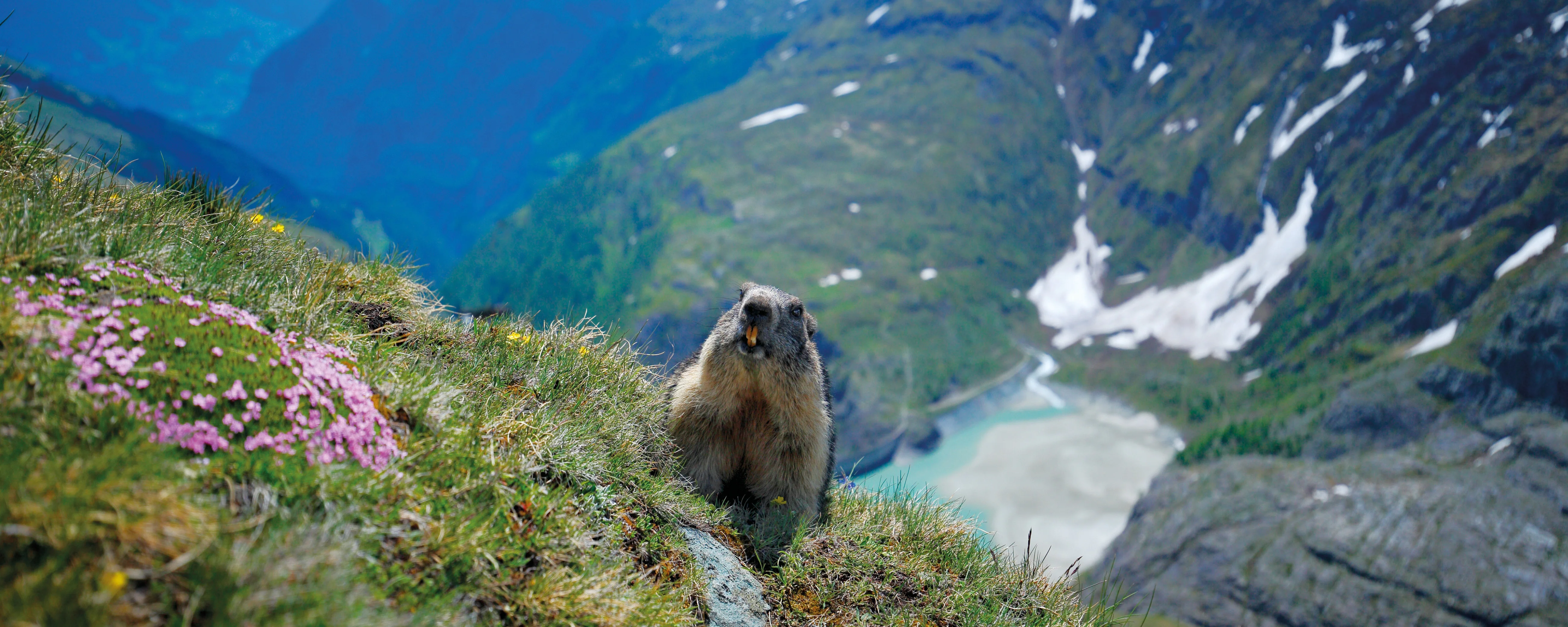 Über die Großglockner Hochalpenstraße nach Heiligenblut