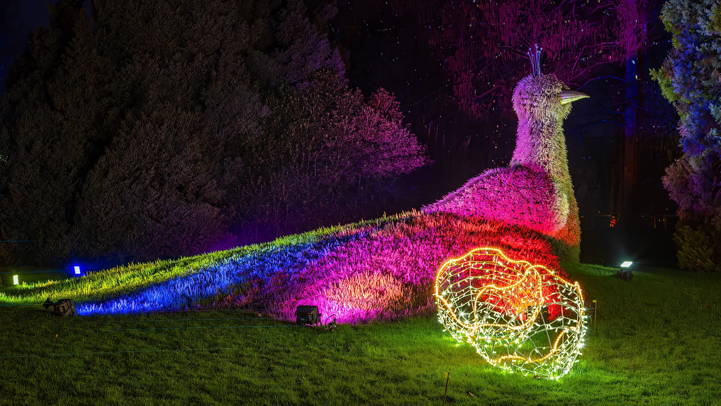 Insel Mainau mit Christmas Garden 